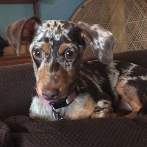 Meet your Posher, Angie